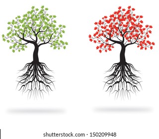 whole green and red tree with roots isolated white background vector