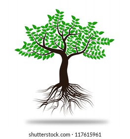 Whole Green Tree With Roots Isolated White Background Vector