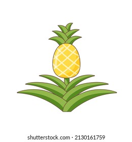 The whole growing pineapple and it's leaves