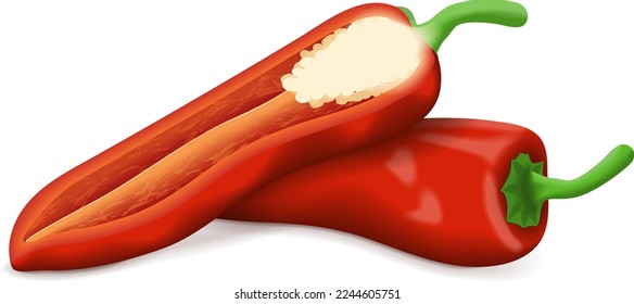 Toda la mitad de los pimientos de Alepo. Pimientos Halaby. Pimientos halabe. Capsicum annuum. Pimienta chile. Verduras ecológicas frescas. Ilustración vectorial aislada en fondo blanco.