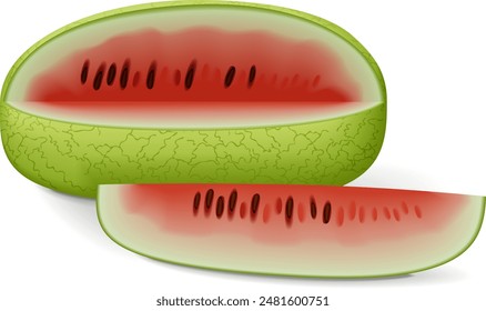 Whole and half of Ali Baba Watermelon. Citrullus lanatus. Fruits and vegetables. Isolated vector illustration.