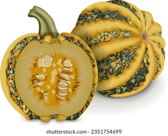 Whole and half of American Tonda pumpkin or Americana Tonda squash. Winter squash. Cucurbita pepo. Fresh, organic, raw fruits and vegetables. Isolated vector illustration.