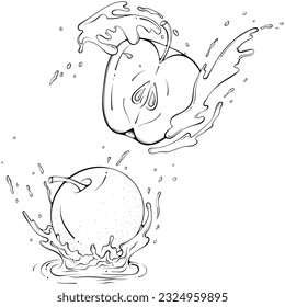 Whole and half apple in juice or water splash. Liquid drops. Vector illustration in hand drawn sketch doodle style. Line art ingredient for fresh juice isolated on white. Close up fruit coloring book