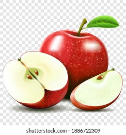 Whole and half of apple. Sliced apple isolated. fruits vector illustration. Realistic modern style