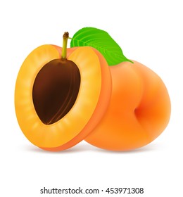 Ganze und halbe Aprikosenobst mit Blatt einzeln auf weißem Hintergrund. Realistische Vektorillustration.