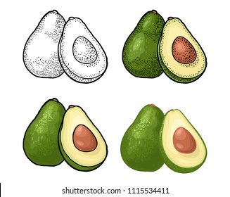 Whole and half avocado with seed and leaf. Vector color and black vintage engraving and flat illustration for menu, poster. Isolated on white background