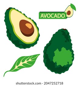 Whole and half avocado with seed and leaf. Abstract fruit. Cartoon style. Vector illustration.