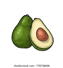 Whole and half avocado with seed. Vector colorf vintage engraving illustration for menu, poster. Isolated on white background