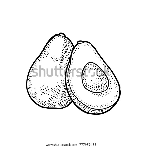 Whole Half Avocado Seed Vector Black Stock Vector Royalty Free 777959455