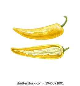 Whole and half banana pepper. Vector vintage hatching color illustration. Isolated on white background. Hand drawn