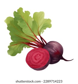 A Whole and Half Beetroot with Leaves Isolated Hand Drawn Painting Illustration