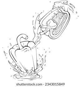 Whole and half bell pepper with juice or water splash. Liquid drops. Vector illustration in hand drawn sketch doodle style. Line art ingredient for fresh salad isolated on white. Close up vegetable