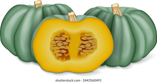Whole and half of Blue pumpkin. Winter squash. Cucurbita maxima. Fruits and vegetables. Isolated vector illustration.