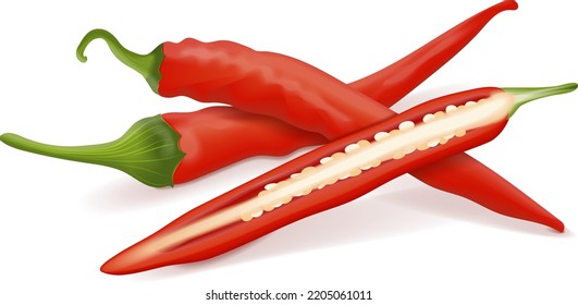 Whole and half of the cayenne peppers for banners, flyers, posters, and social media. Ginnie peppers. Chili peppers. Fresh organic vegetables. Vector illustration isolated on white background.
