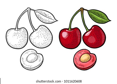 Whole and half cherry berry with seed and leaf. Vector black vintage engraving illustration for menu, poster. Isolated on white background