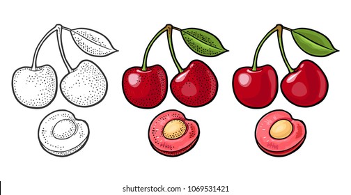 Whole and half cherry berry with seed and leaf. Vector black vintage engraving illustration for menu, poster. Isolated on white background