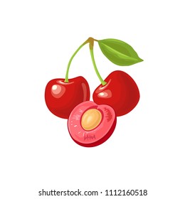 Whole and half cherry berry with seed and leaf. Vector color flat illustration for menu, poster. Isolated on white background