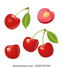 Whole and half cherry berry with seed and leaf. Vector color icon. Isolated on white background