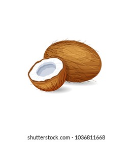 Whole and half coconut  isolated on white background. Vector illustration