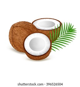 Whole and half coconut with leaves isolated on white background. Realistic vector illustration.