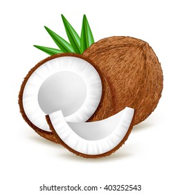 Whole and half coconut with leaves isolated on white background. Realistic vector illustration.