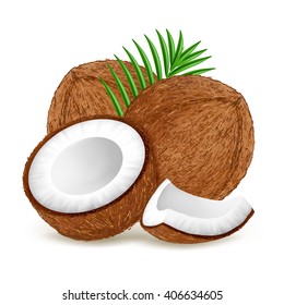 Whole and half coconut with leaves isolated on white background. Realistic vector illustration.