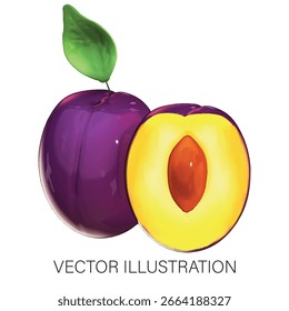 Ganze und halbe Damson Pflaume - 3D-Vektorgrafik auf weißem Hintergrund