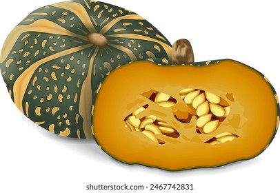 Entero y medio de Calabaza de Invierno Delica o calabaza Courge Delica Moretti. Cucurbita máxima. Frutas y verduras. Ilustración vectorial aislada.
