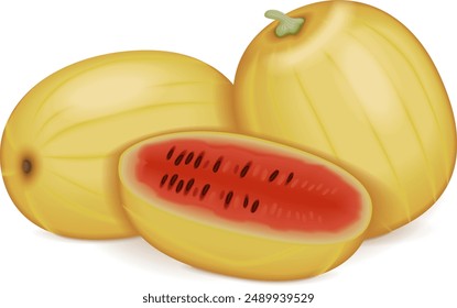 Whole and half of Faerie watermelon. Citrullus lanatus. Fruits and vegetables. Isolated vector illustration.