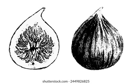 Whole and half fig fruit.Vector illustration.Botanical drawing of the product. Berry sketch in graphic style. Vegan organic ecological food. Black and white art for packaging, menu.