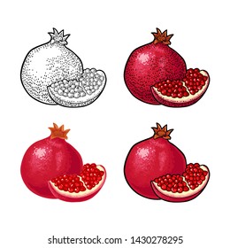 Whole and half garnet with seed. Vector black and color vintage engraving and flat illustration for menu, poster. Isolated on white background