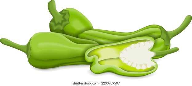 Whole and half of Green small Padron peppers. Pimientos de padron. Pemento de Herbon. Capsicum annuum. Chili pepper. Fresh organic vegetables. Vector illustration isolated on white background.