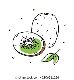 Whole and half kiwi fruit isolated on white background. Organic healthy food. Vector hand-drawn illustration in doodle style. Perfect for cards, logo, decorations, various designs.