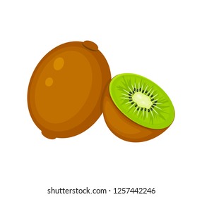 Whole and half kiwi fruit  vector illustration isolated on white background.