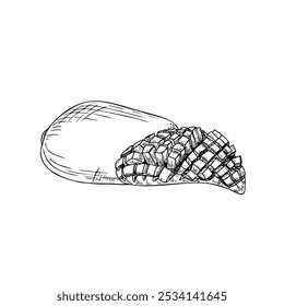 Whole and half mango with cubes vector line art black and white ink sketch. Aromatic juicy fruit monochrome hand drawn flat. Floral composition for healthy dessert or beverage decor, coloring book.
