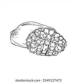 Whole and half mango with cubes vector line art black and white ink sketch. Aromatic juicy fruit monochrome hand drawn flat. Floral composition for healthy dessert or beverage decor, coloring book.