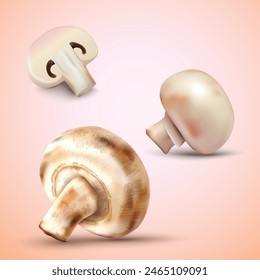 Whole, half of  Mushroom Vector