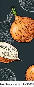 Cebolla entera y media. Color vectorial y grabado monocromo vintage aislado en el fondo oscuro. Elemento de diseño dibujado a mano para menú de plantilla vertical, afiche, volante, banner.