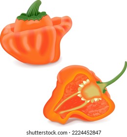 La mitad de los pimientos bonnet de whisky anaranjado. Capsicum chinense. Pimienta picante. Verduras ecológicas frescas. Ilustración vectorial aislada en fondo blanco.