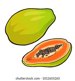 Whole and half papaya. Vector black vintage engraving illustration for menu, poster. Isolated on white background. Hand drawn design element for label and poster
