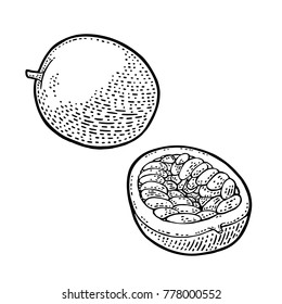 Whole and half passion fruit with seed. Vector black vintage engraving illustration for menu, poster. Isolated on white background