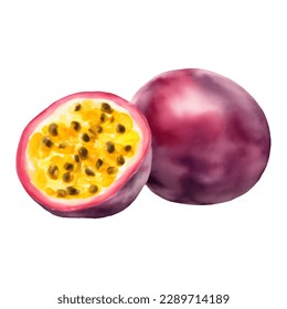 A Whole and Half Passion Fruit with Seeds Isolated Hand Drawn Painting Illustration