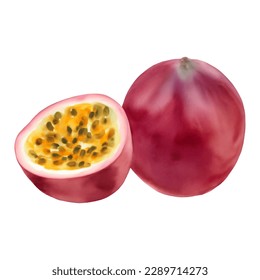 A Whole and Half Passion Fruit with Seeds Isolated Hand Drawn Painting Illustration