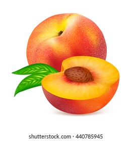 Whole and half peach fruit with leaf isolated on white background. Realistic vector illustration.