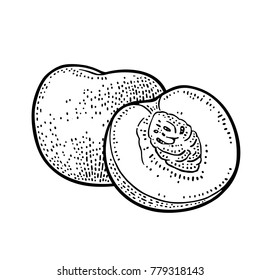 Whole and half peach with seed and leaf. Vector black vintage engraving illustration for menu, poster. Isolated on white background