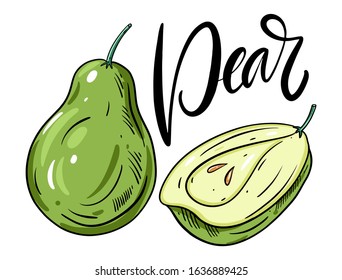 Whole and half pear colorful hand drawn vector illustration art. Isolated on white background.