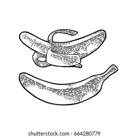 Whole and half peeled banana. Vector black hand drawn vintage engraving Illustration for menu, web and label. Isolated on white background.
