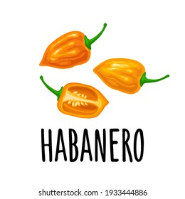 Whole and half pepper habanero. Vector color illustration for menu, poster, label. Isolated on white background. Hand drawn design element
