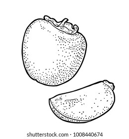 Whole and half persimmon. Vector black vintage engraving illustration for menu, poster. Isolated on white background