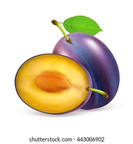 Whole and half plum fruit with leaf isolated on white background. Realistic vector illustration.